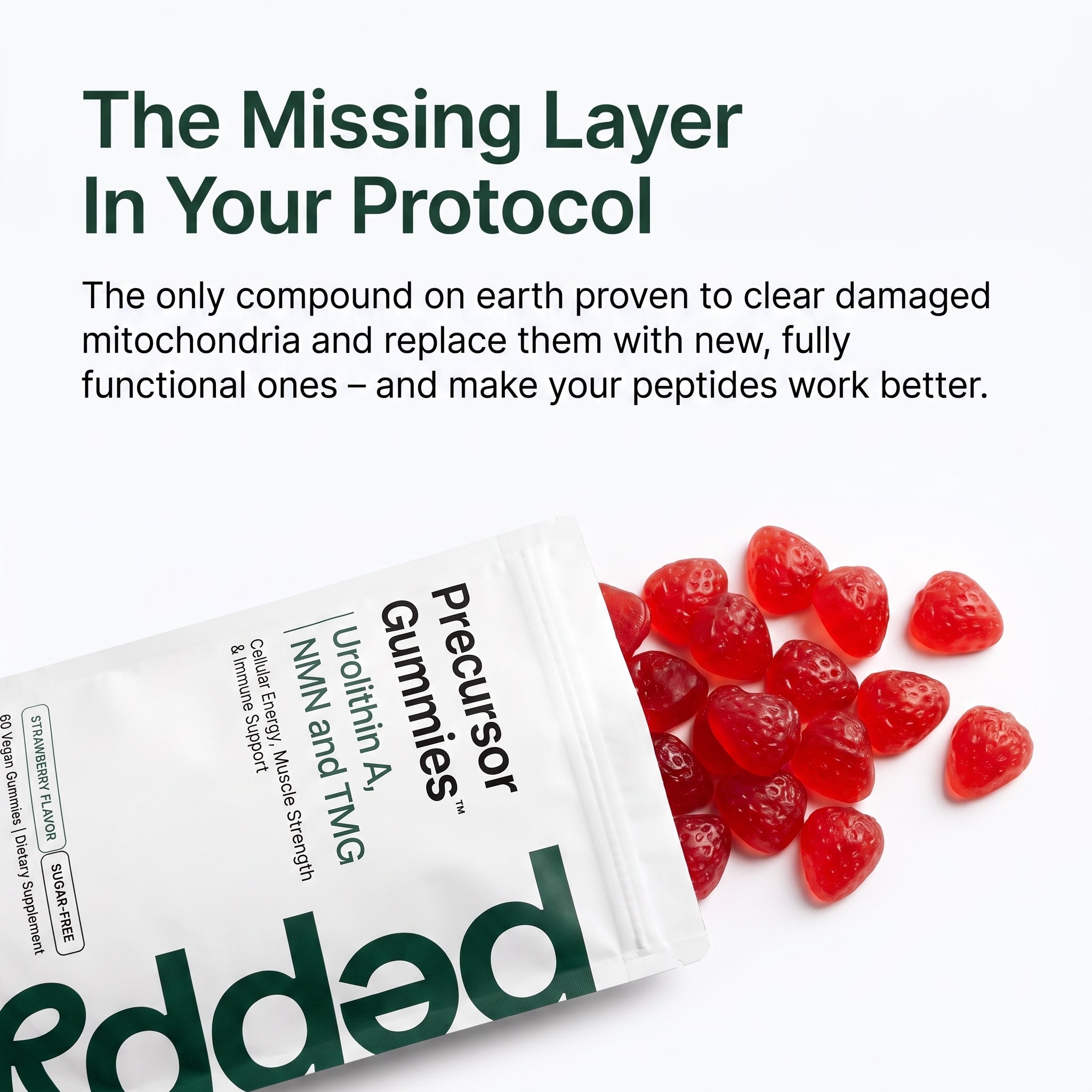 Precursor Gummies thumbnail 2
