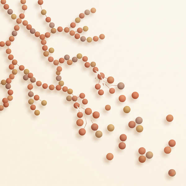 Enzymes turn it to sugar — fast