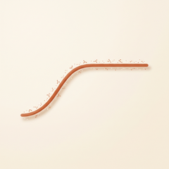 Gentler blood-sugar rise